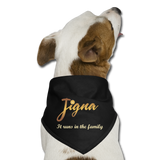 Jigna Dog Bandana - black